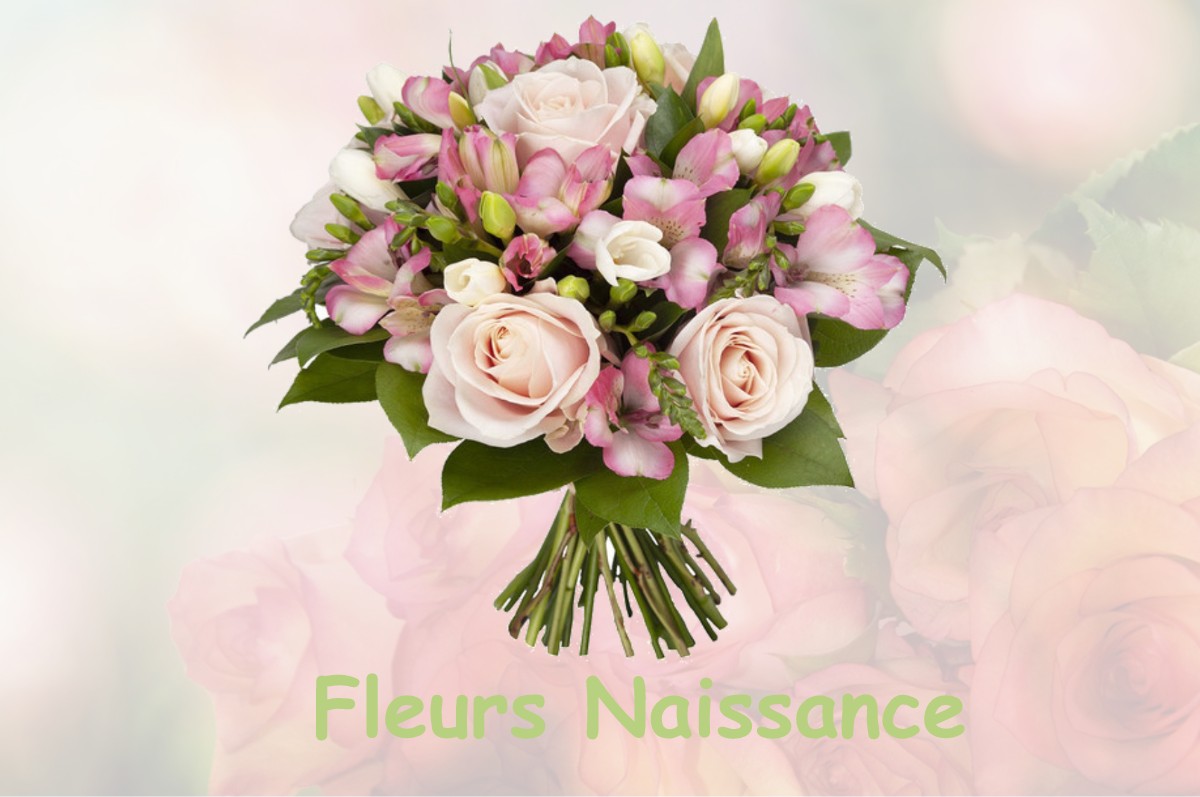 fleurs naissance PIERREFONTAINE-LES-BLAMONT